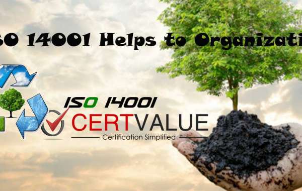 How can ISO 14001 implementation contribute to sustainability?