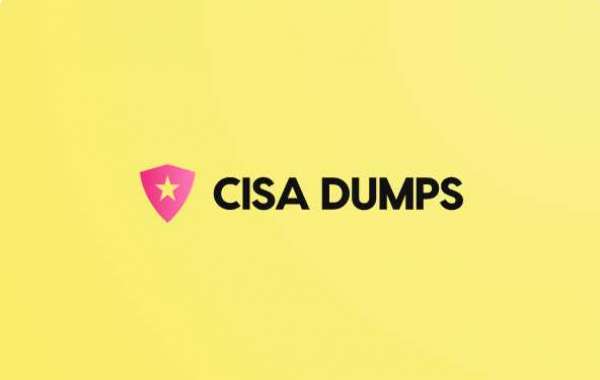 https://dumpsarena.com/isaca-dumps/cisa/