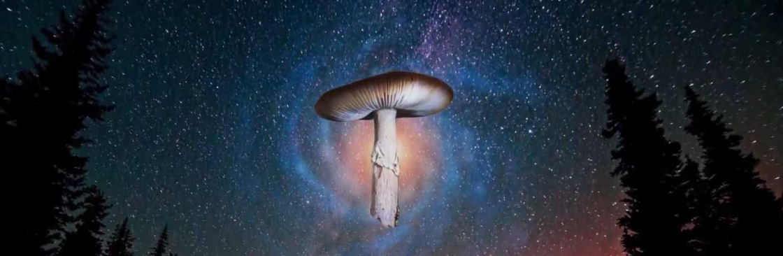 magicmushroomcanada Cover Image