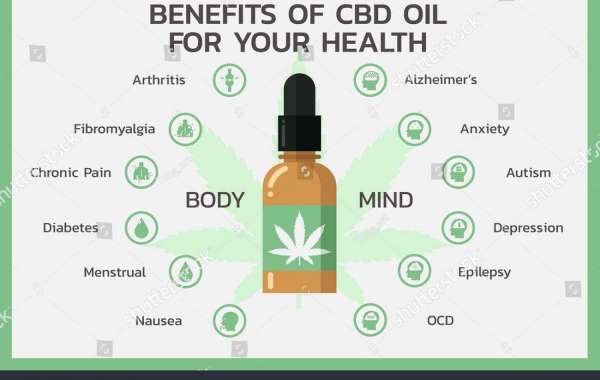 Bernard Pivot CBD Oil